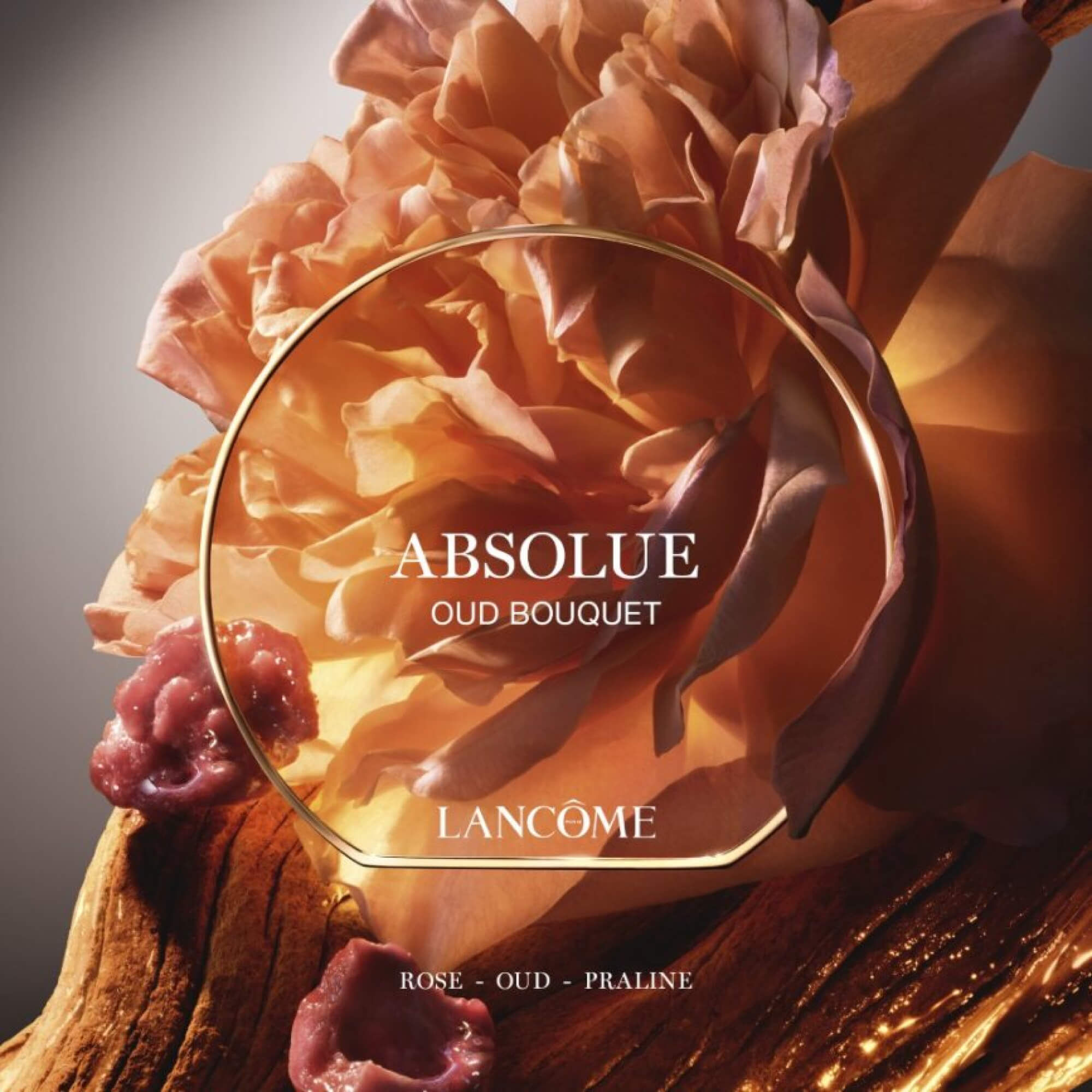 OUD BOUQUET | ABSOLUE LES PARFUMS