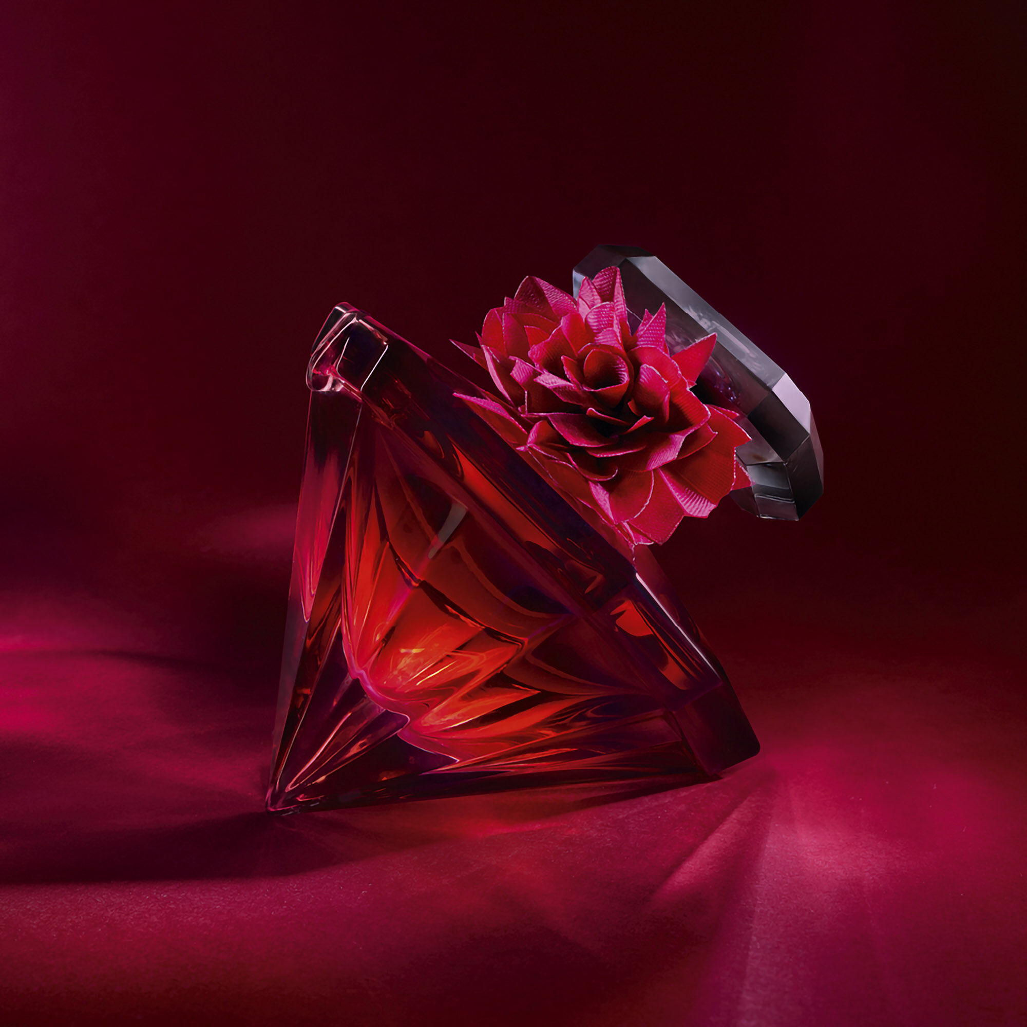 LA NUIT TRESOR INTENSE