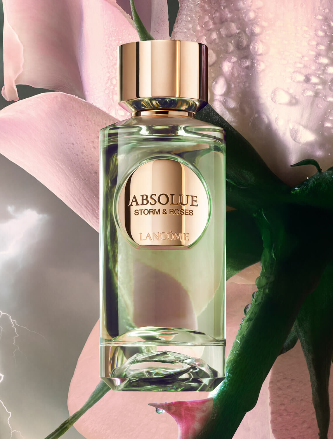 STORM & ROSES | ABSOLUE LES PARFUMS