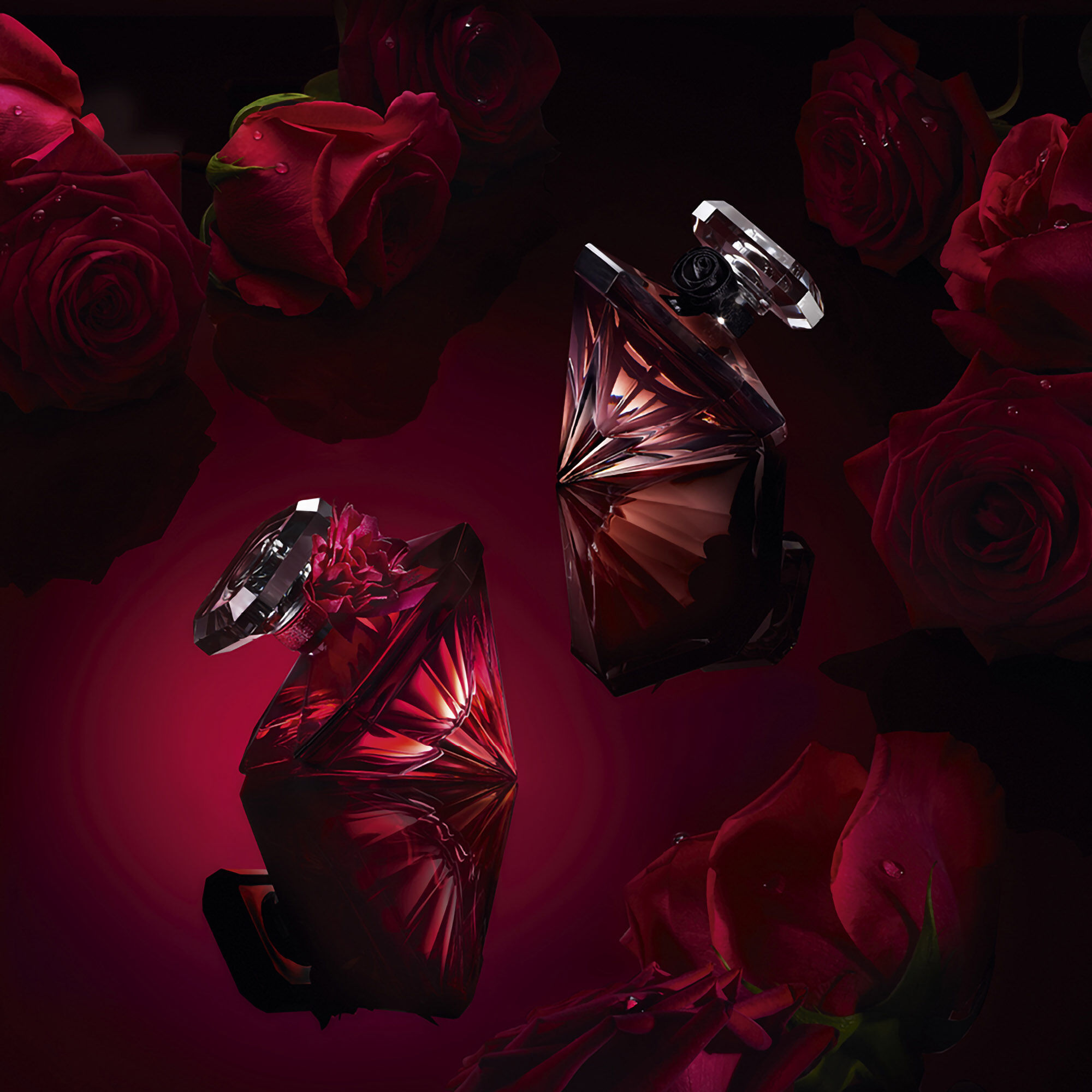 LA NUIT TRESOR INTENSE