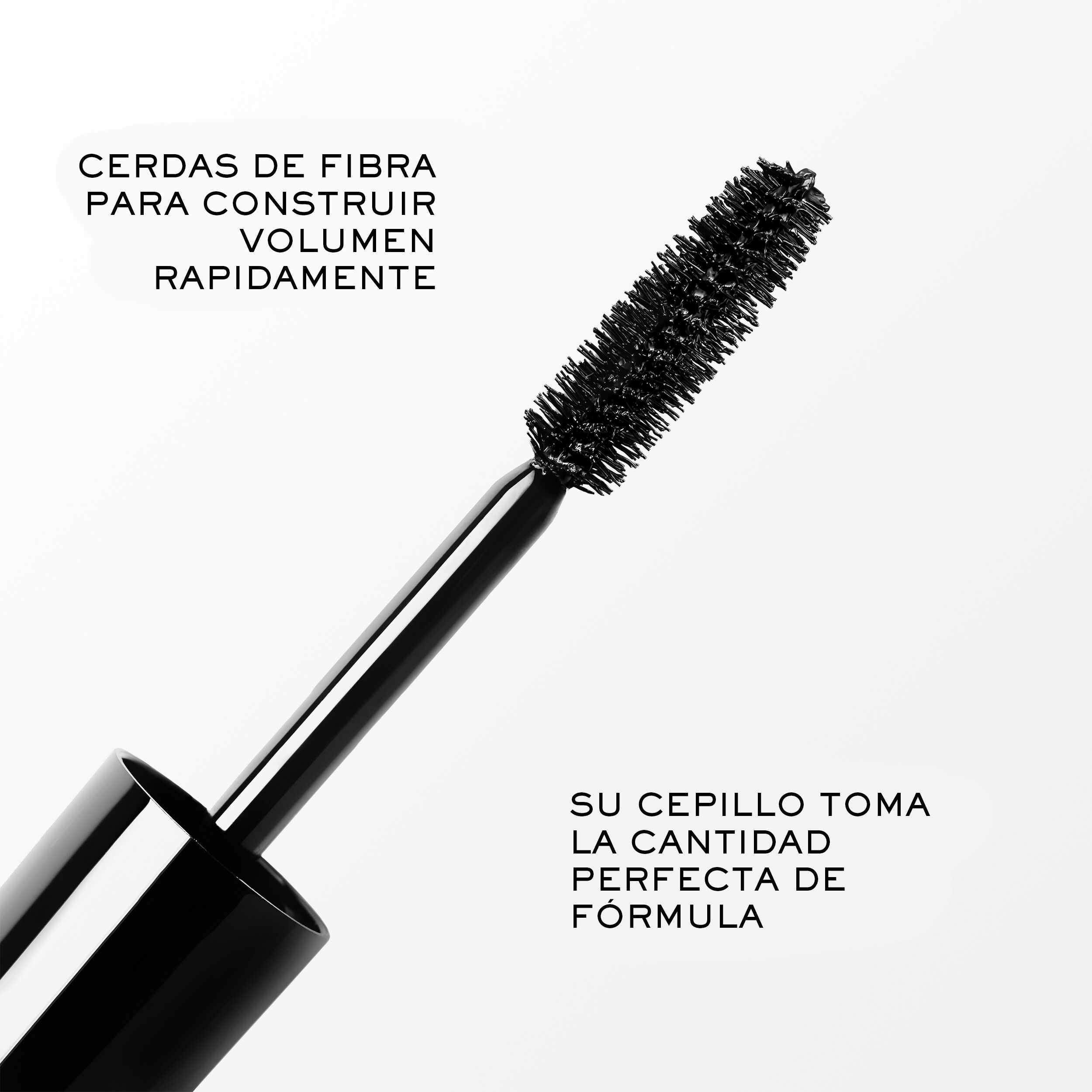 Monsieur Big Mascara