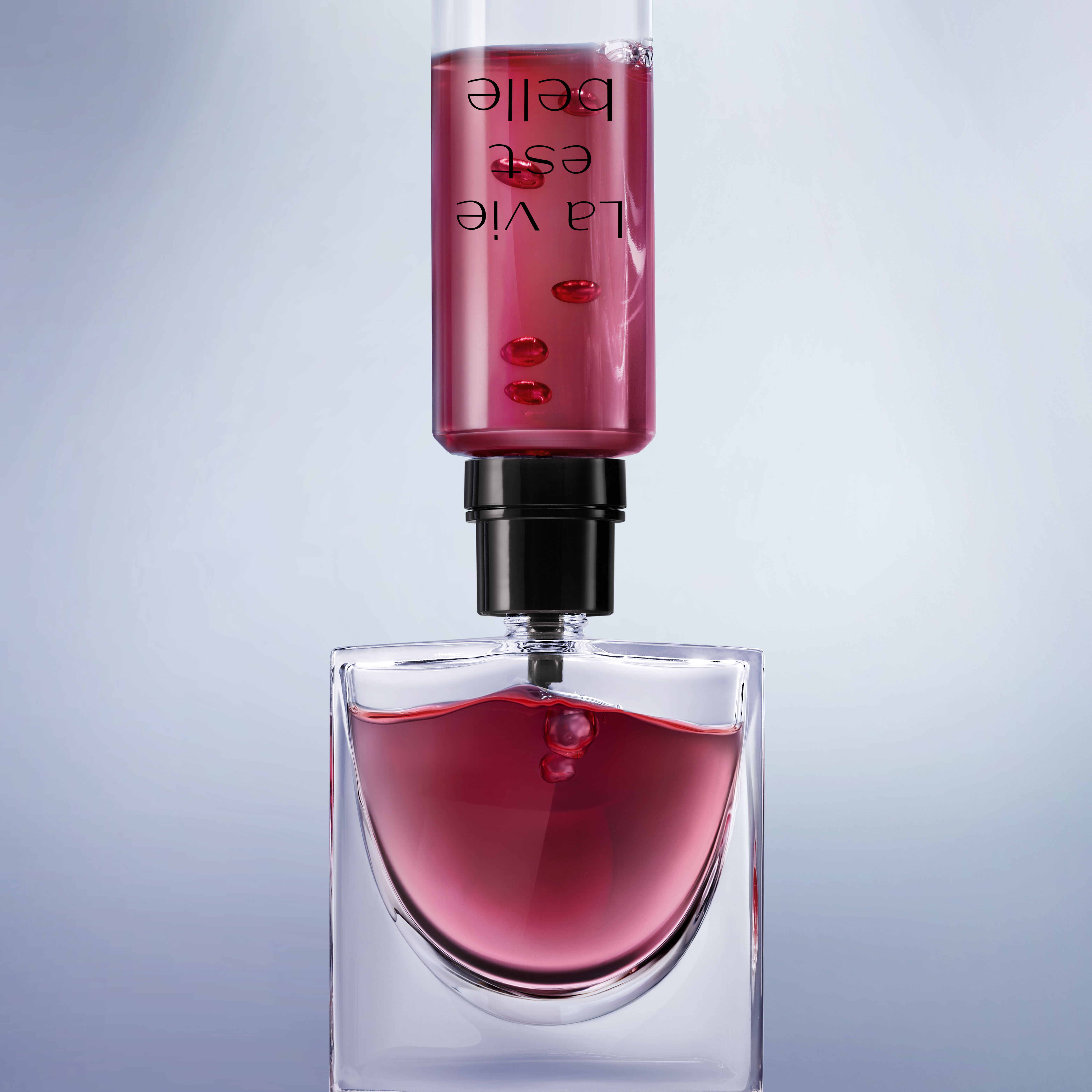 LA VIE EST BELLE L'ELIXIR
