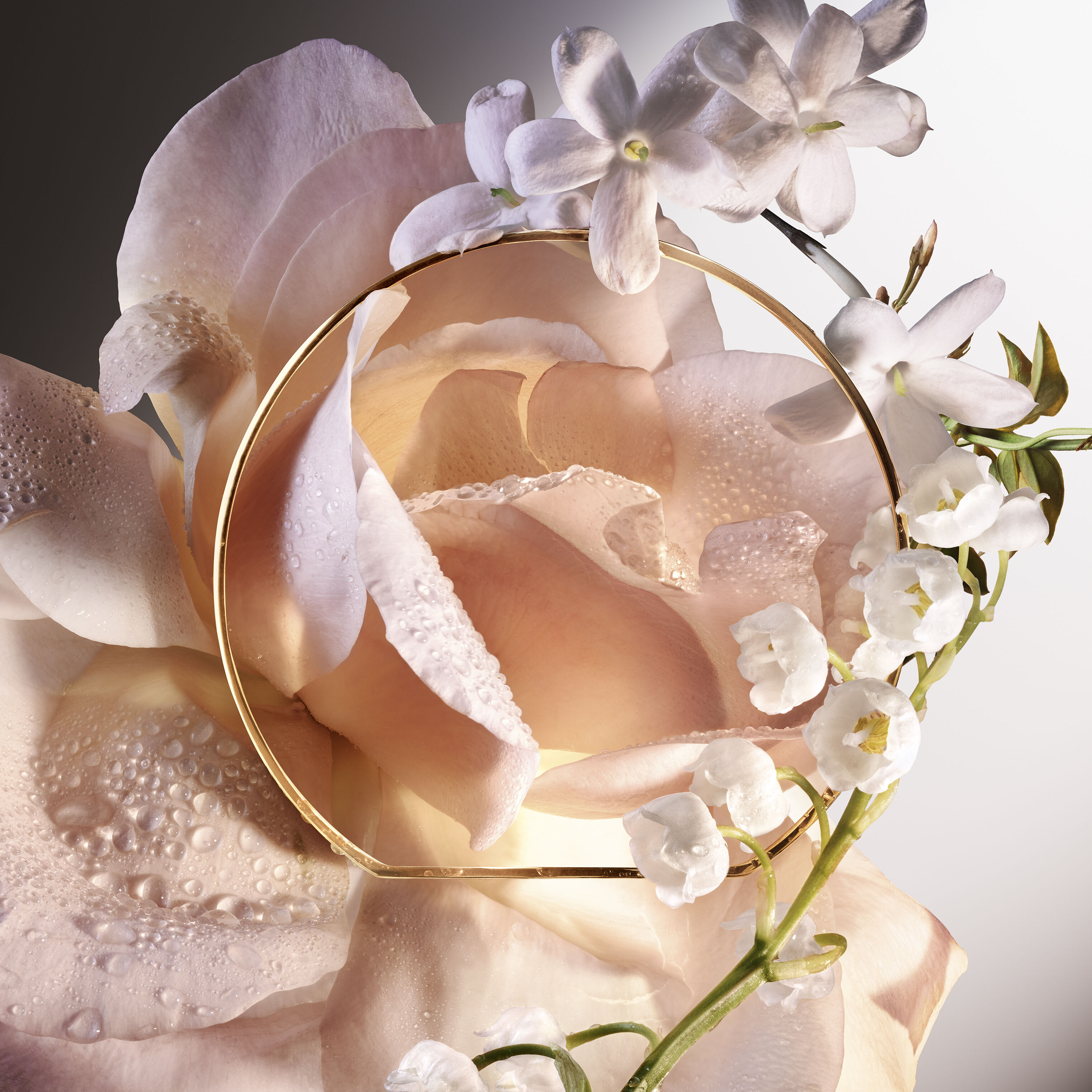 6 AM ROSE | ABSOLUE LES PARFUMS
