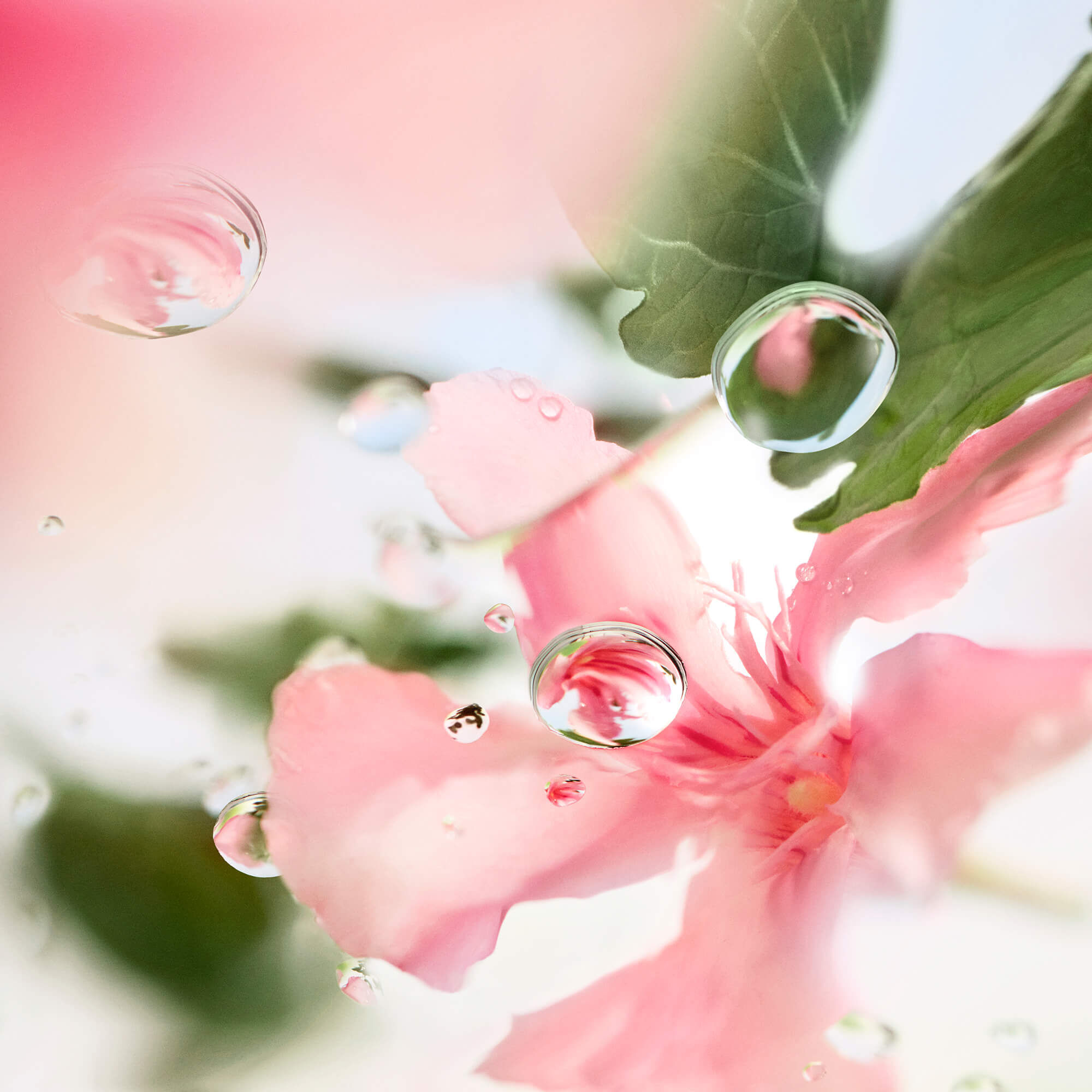 Over The Top Eau de Toilette