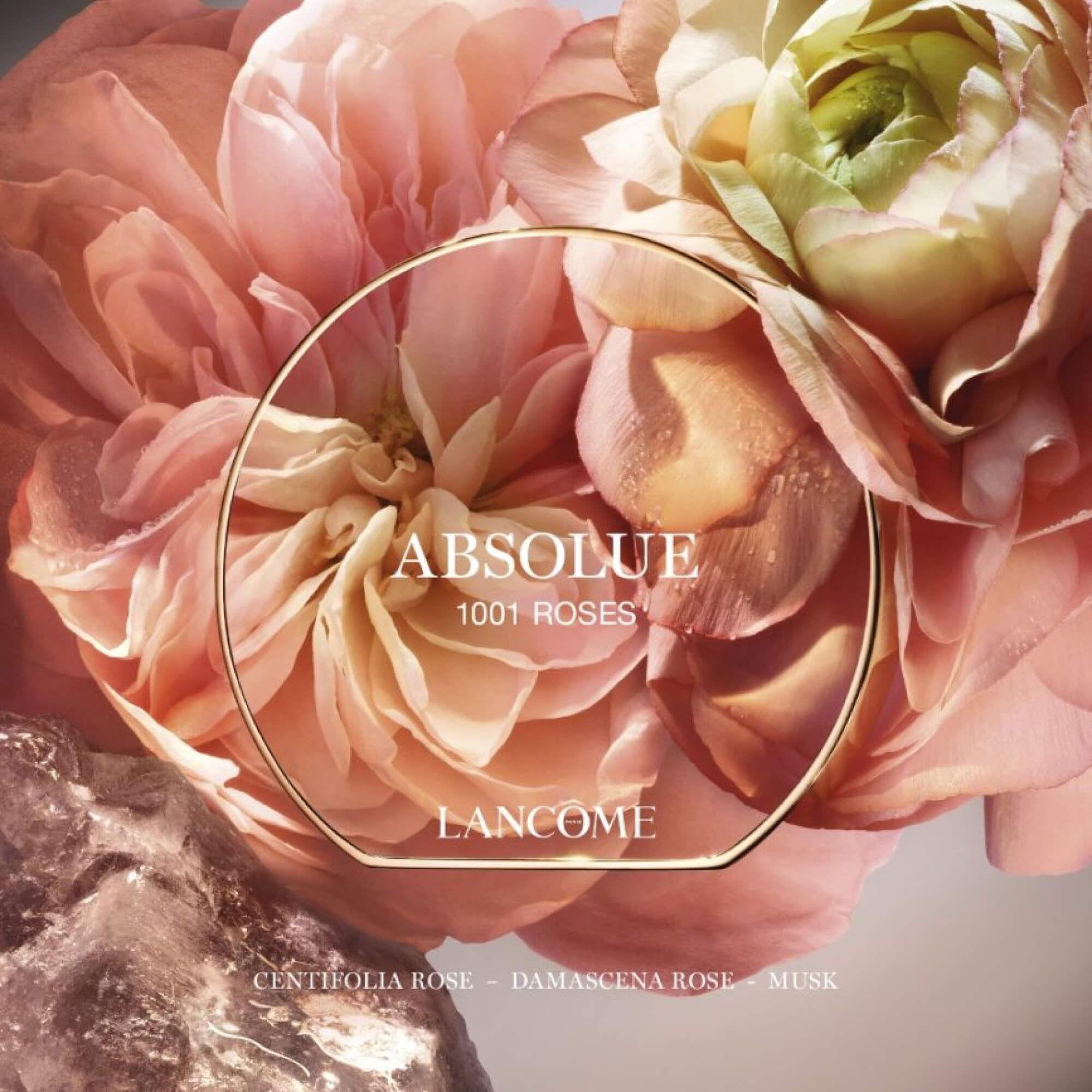 1001 ROSES | ABSOLUE LES PARFUMS
