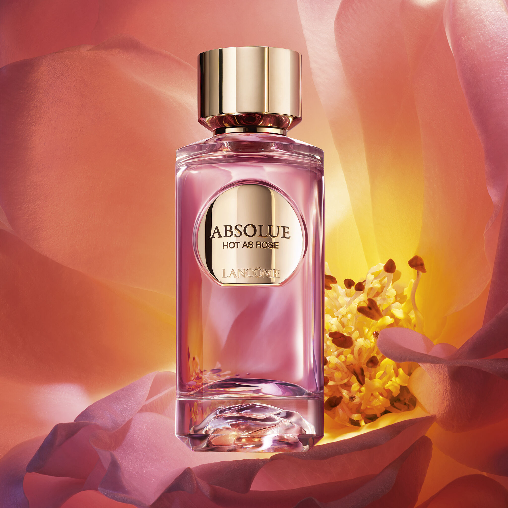 HOT AS ROSE | ABSOLUE LES PARFUMS