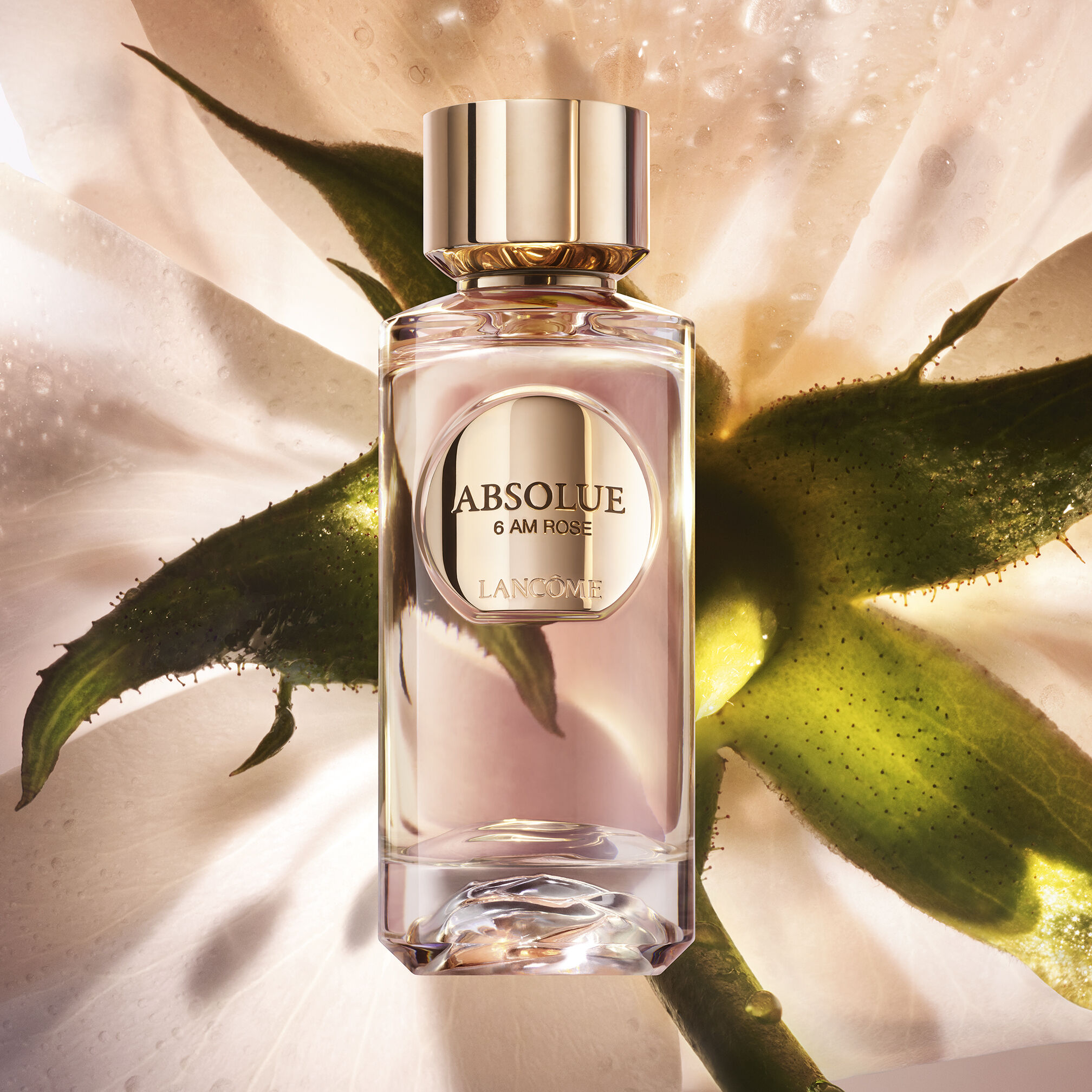 6 AM ROSE | ABSOLUE LES PARFUMS