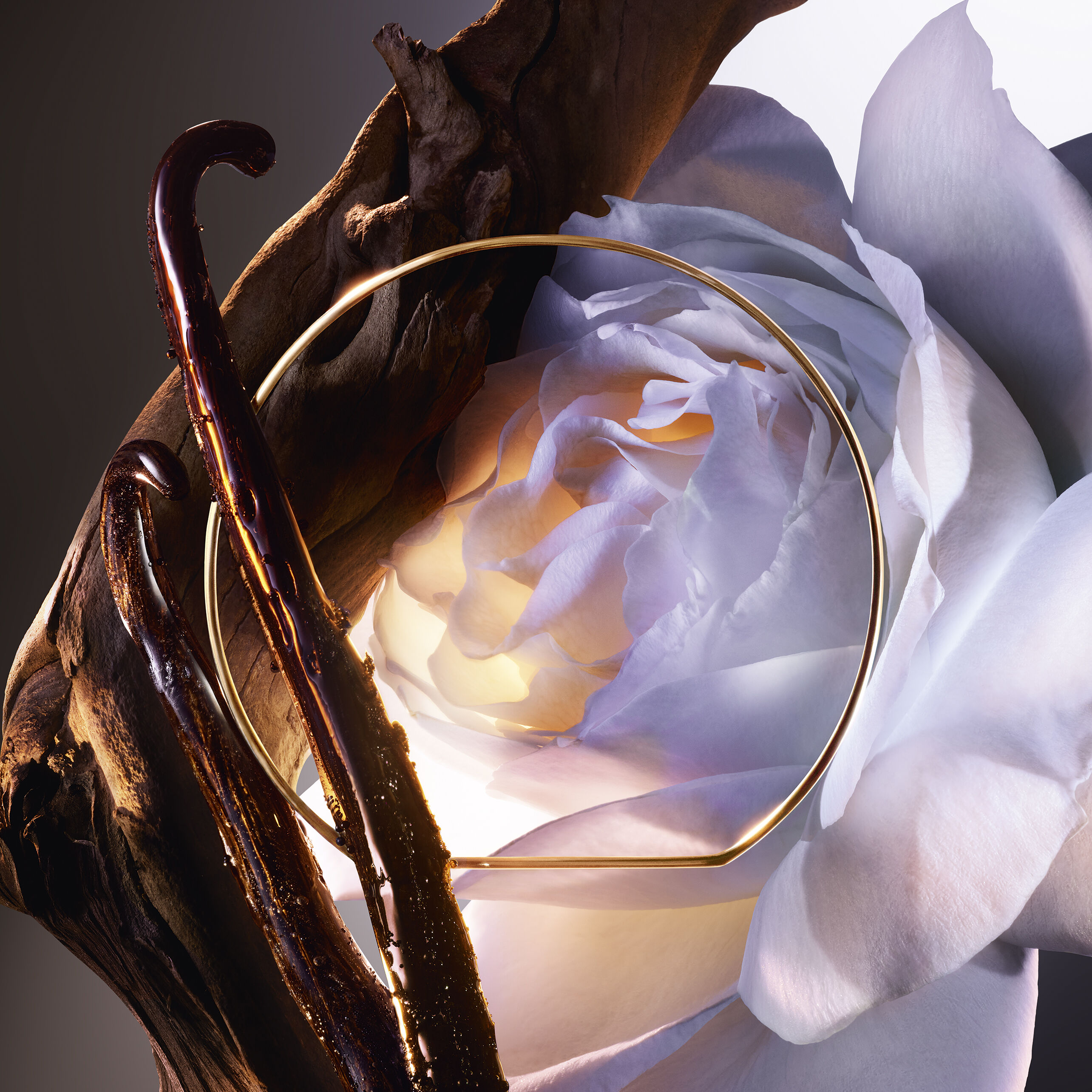 ROSE ON THE MOON | ABSOLUE LES PARFUMS