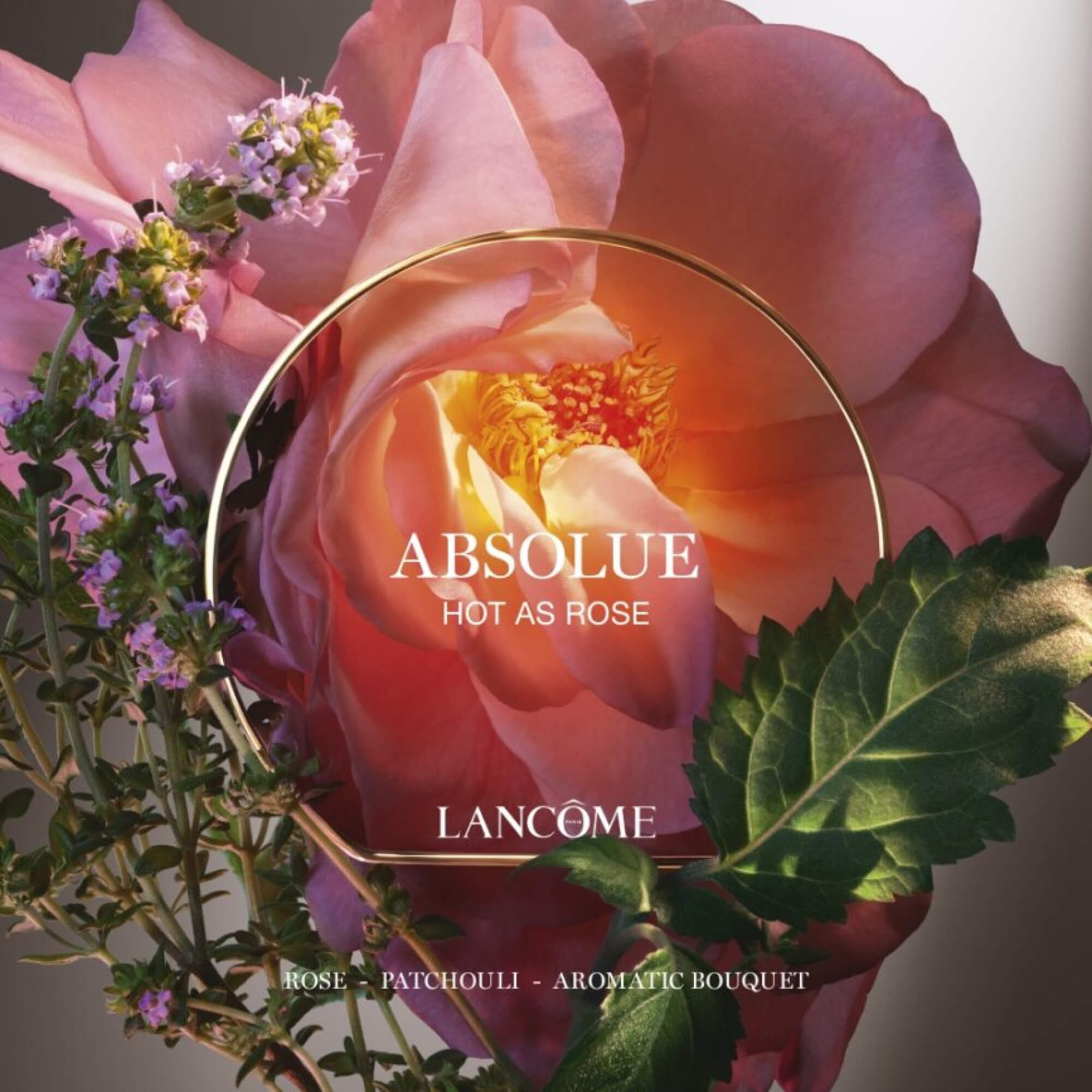 HOT AS ROSE | ABSOLUE LES PARFUMS