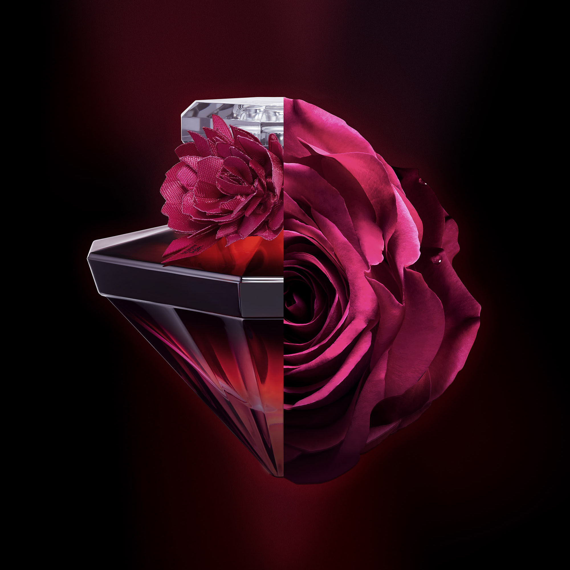 LA NUIT TRESOR INTENSE