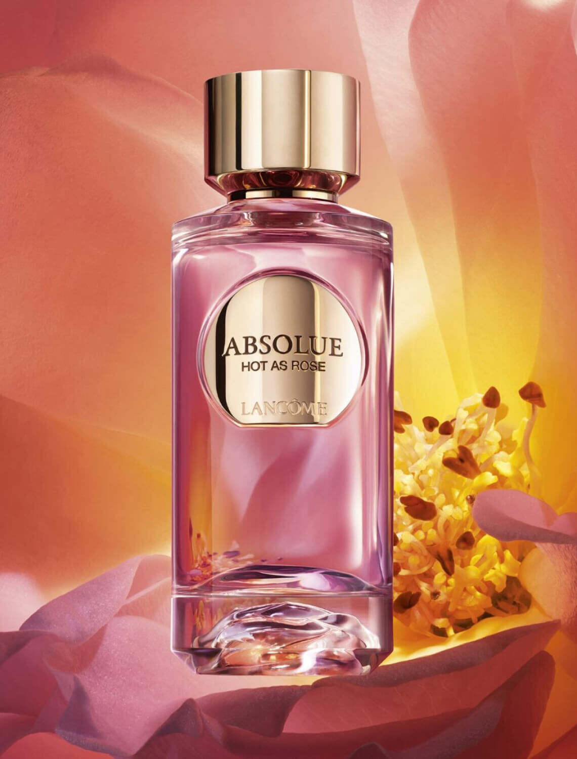 HOT AS ROSE | ABSOLUE LES PARFUMS