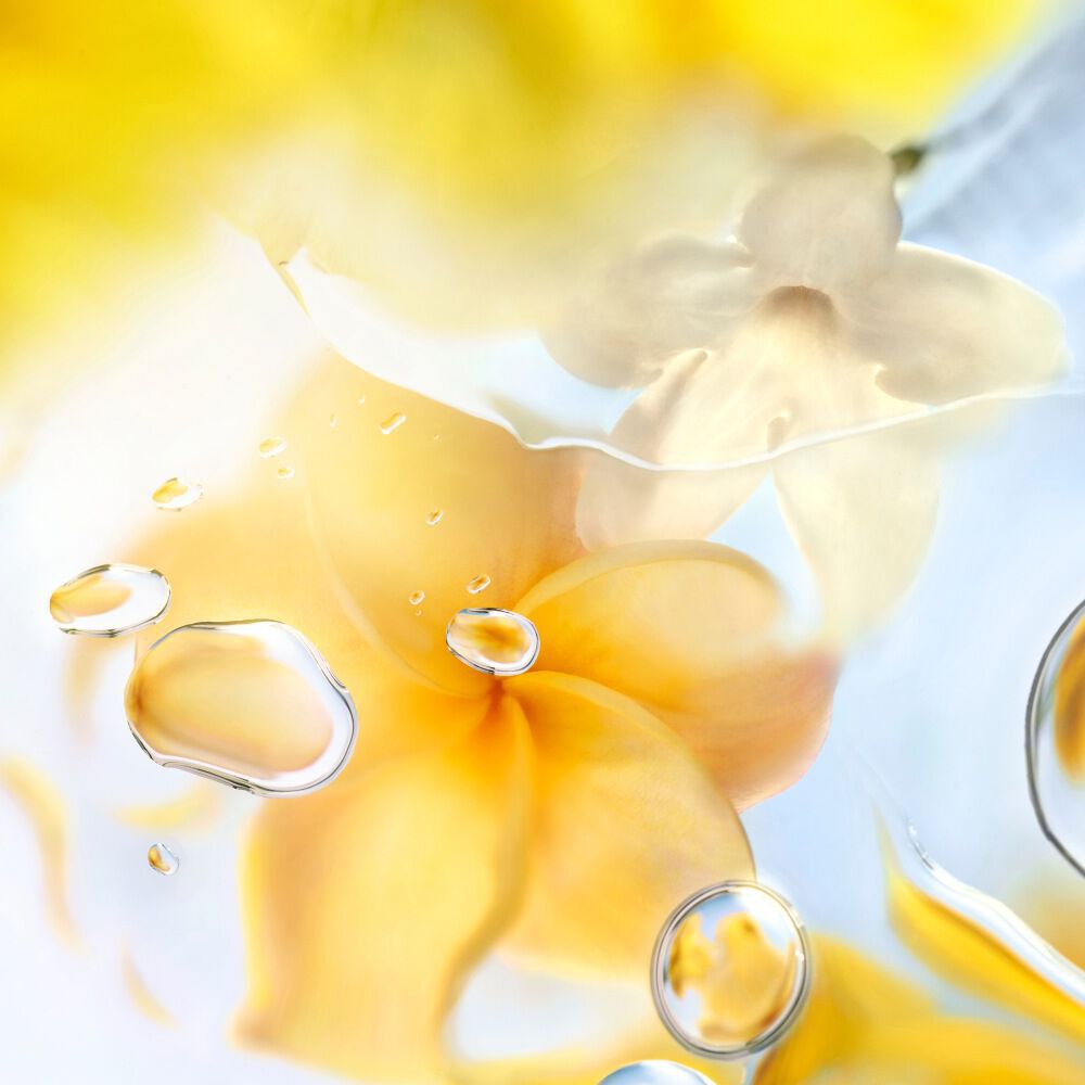 O Zenith Eau de Toilette