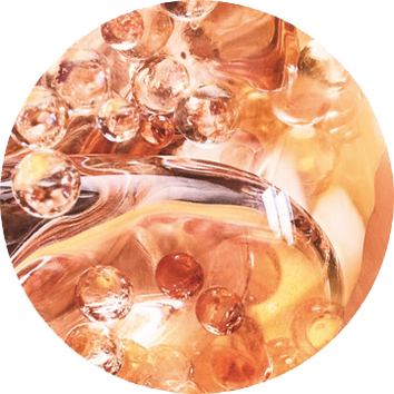 Absolue Rose Molecular Fractions